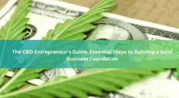 The CBD Entrepreneur's Guide Essential Steps to Building a Solid Business Foundation