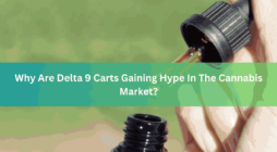 Why Are Delta 9 Carts Gaining Hype In The Cannabis Market